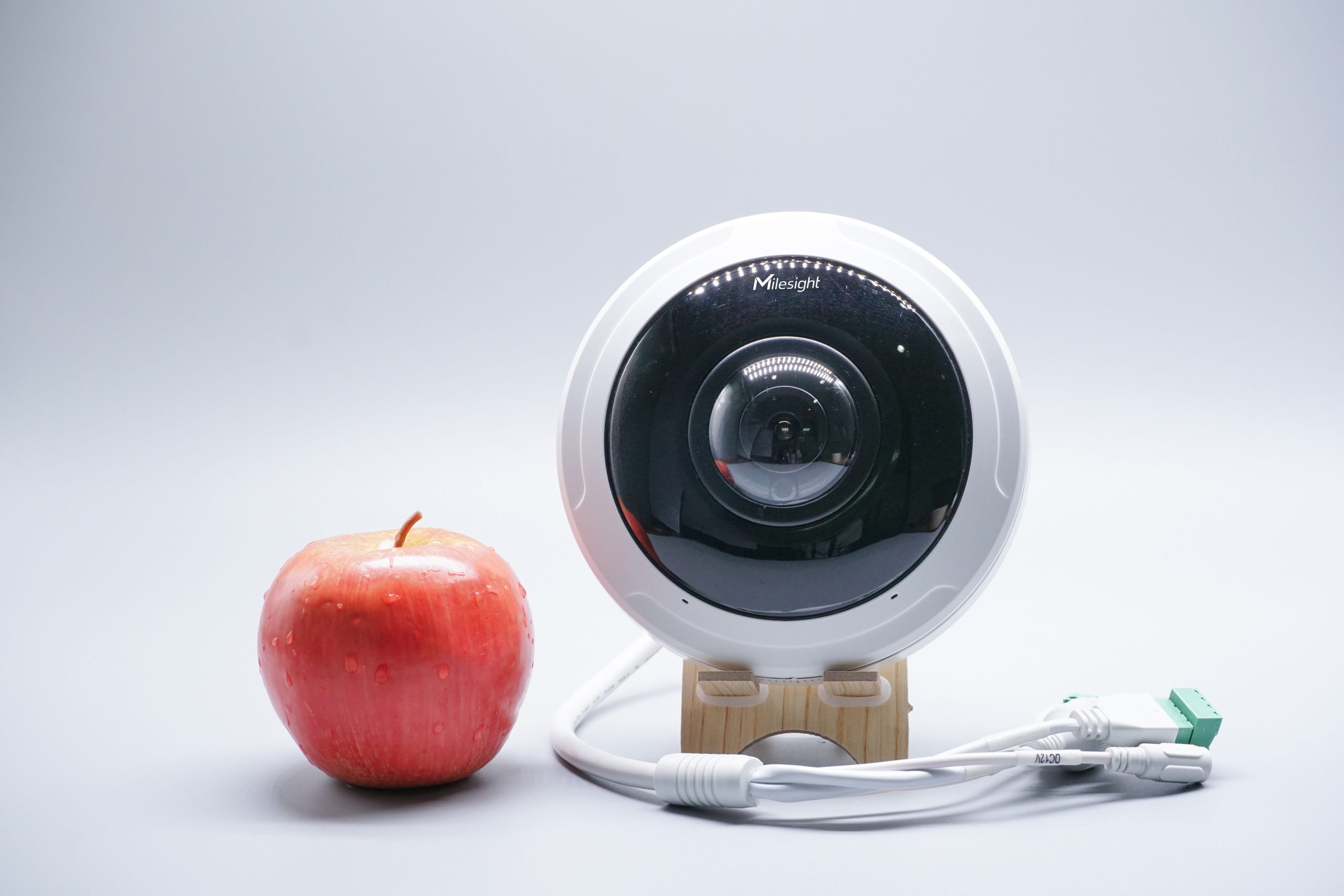 Fisheye Network Camera 5MP